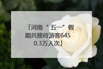 河南“ 五一”假期共接待游客6450.3万人次